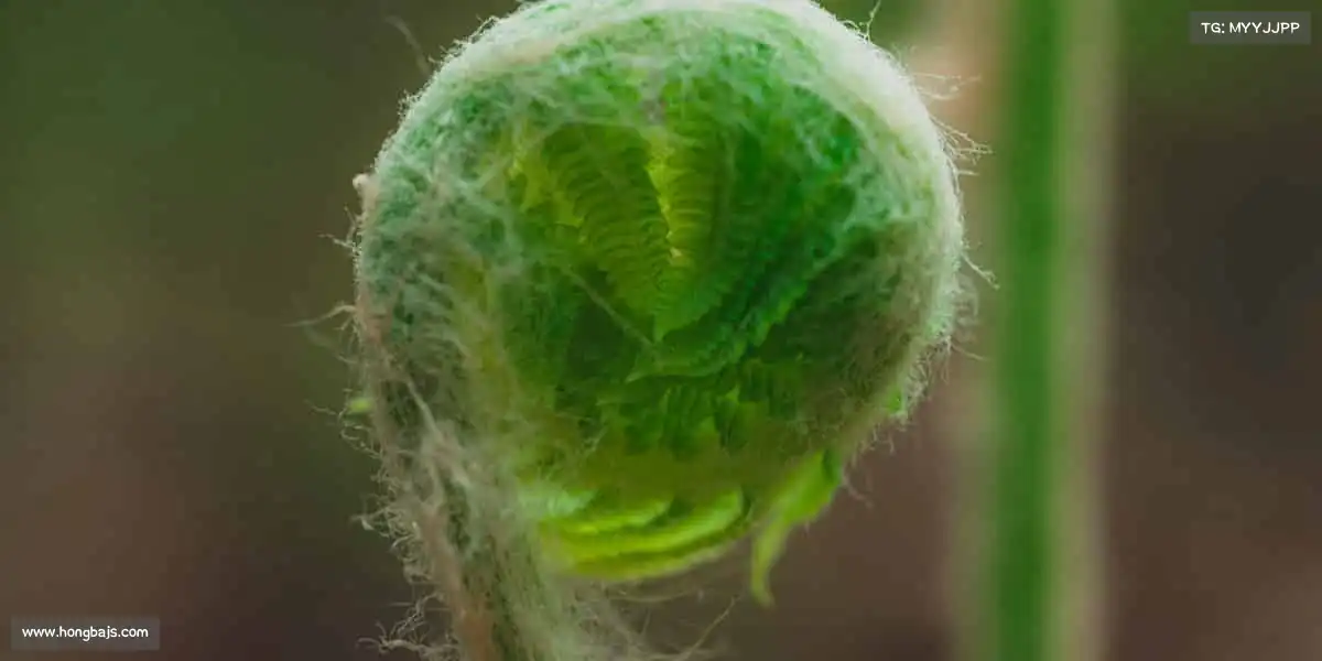 我们的品牌价值